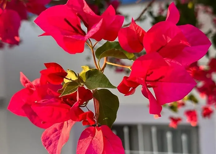 メリナ アパートホテル