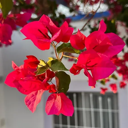 Melina شقة فندقية